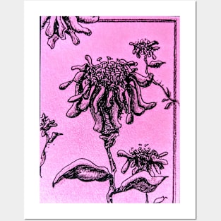 Pink Flower in Pink Posters and Art